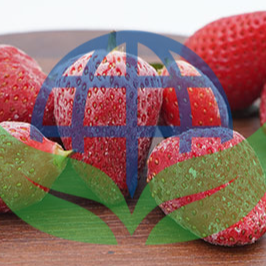 Freeze Dried Strawberry