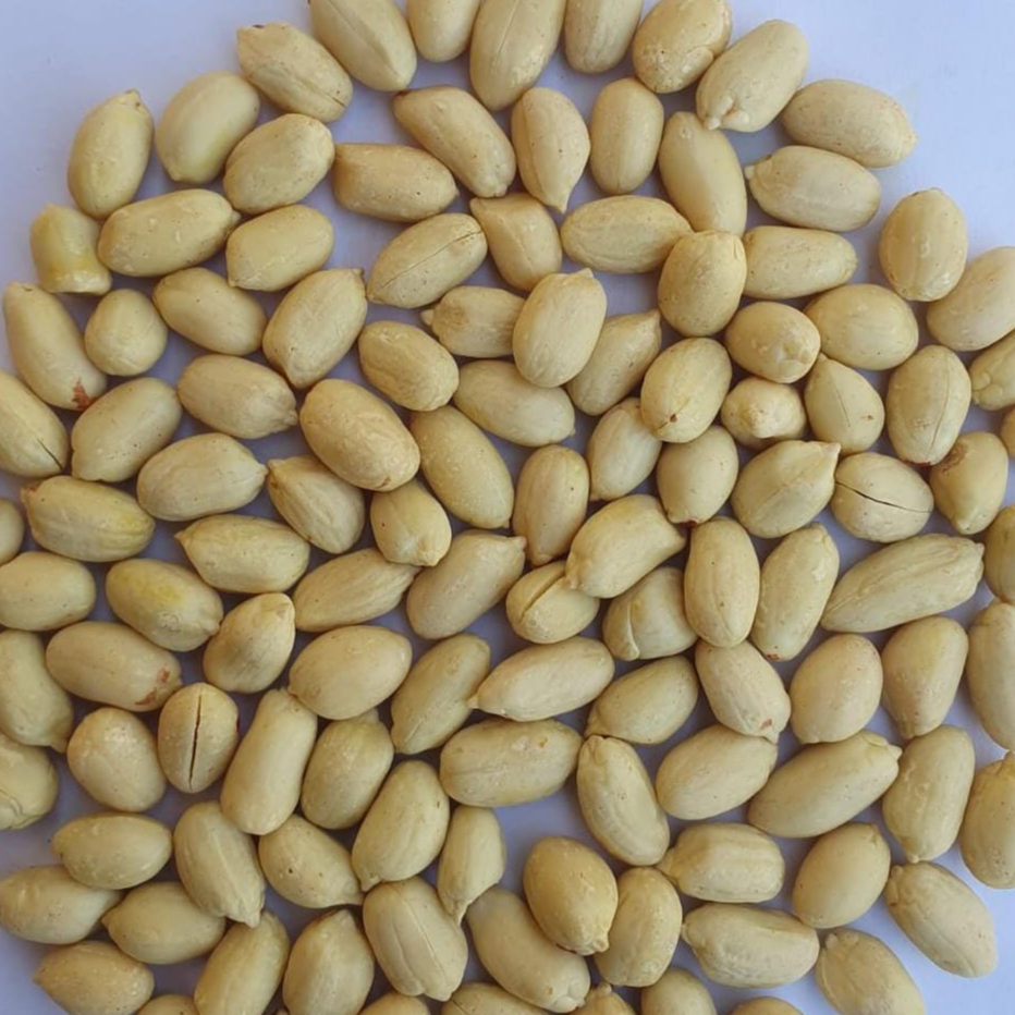 BLANCHED PEANUT - DHN INTERNATIONAL