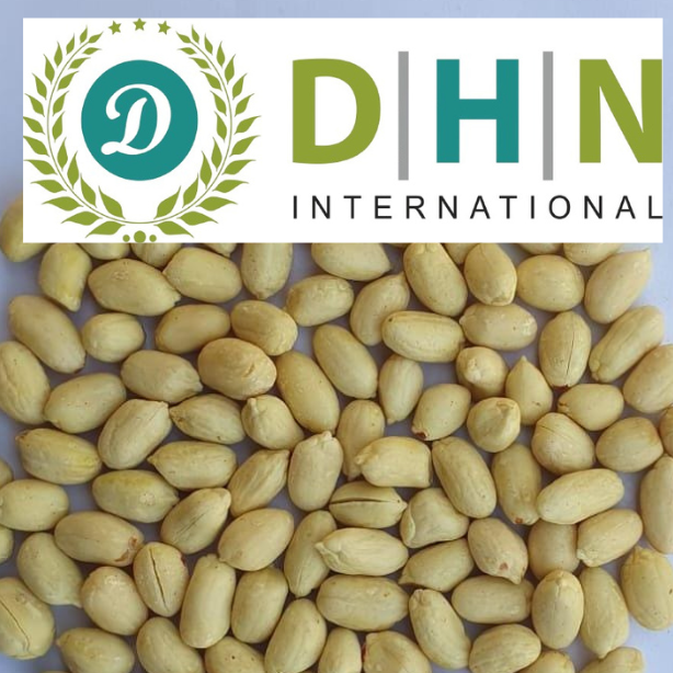 BLANCHED PEANUT - DHN INTERNATIONAL