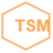 TSM Consulting Germany