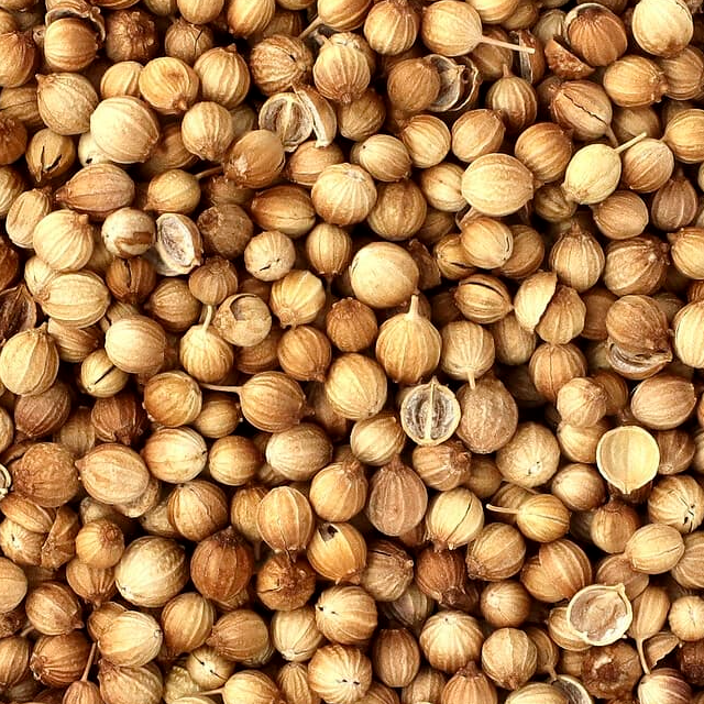 coriander seeds