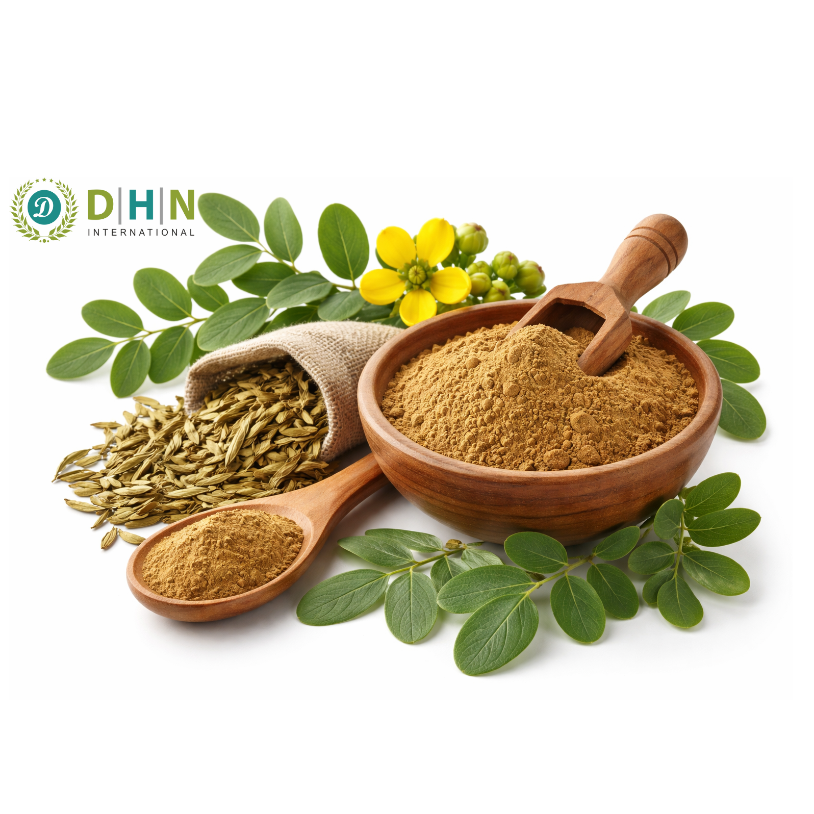 Senna Extract Manufacturer in India-DHN INTERNATIONAL