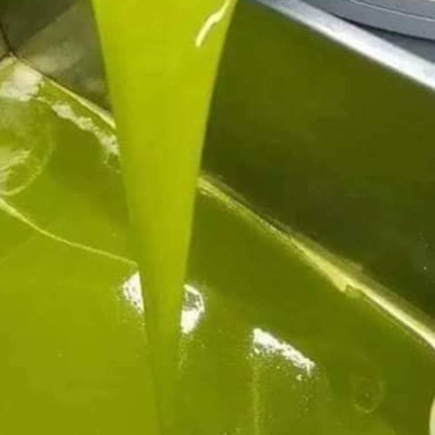 Bulk Sweet Extra Virgin Olive Oil
