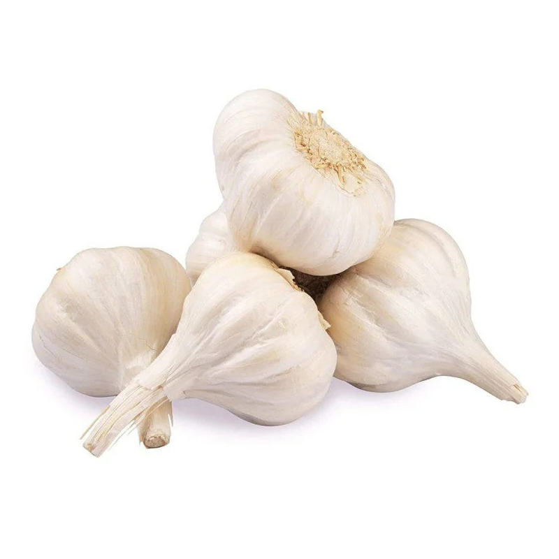 Garlics