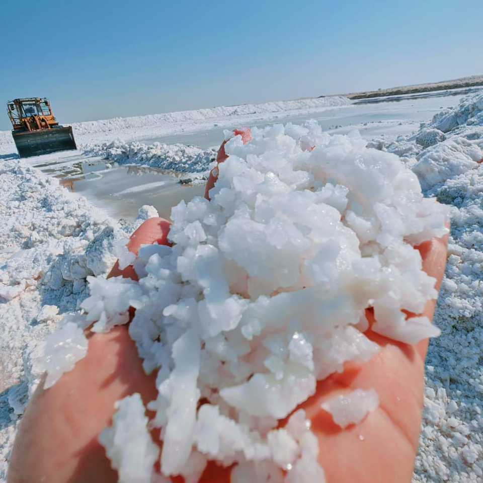 refined salt , food salt , sea salt