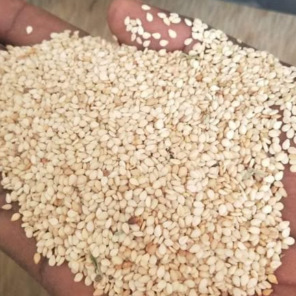 seasam seeds