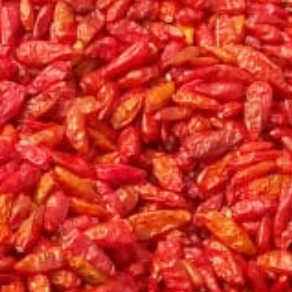 African Bird Eye Chilli