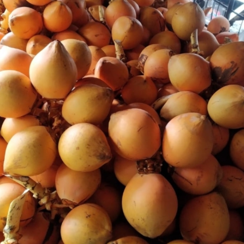 King Coconut