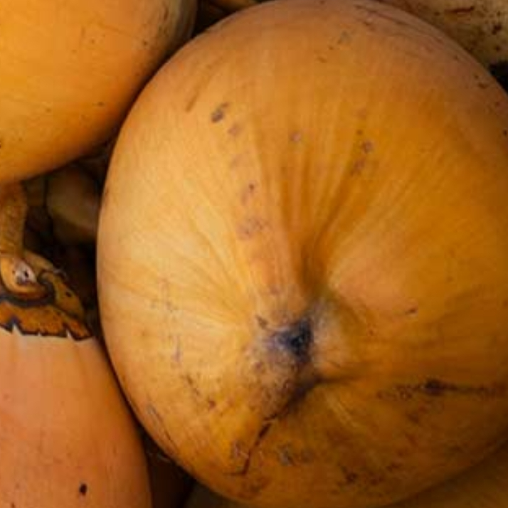 King Coconut