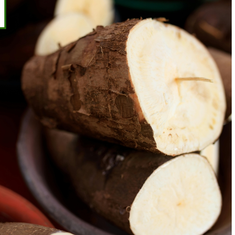 Cassava