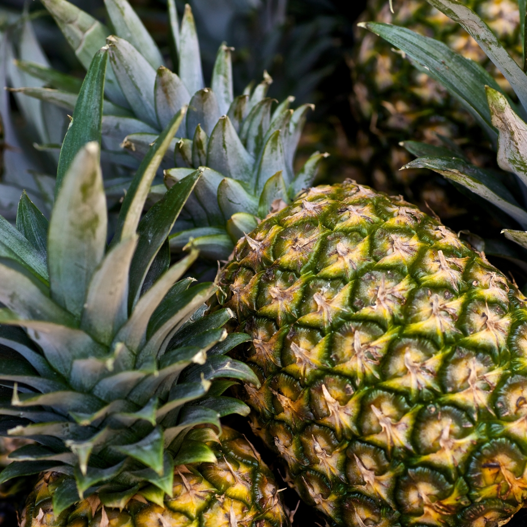 Pineapple