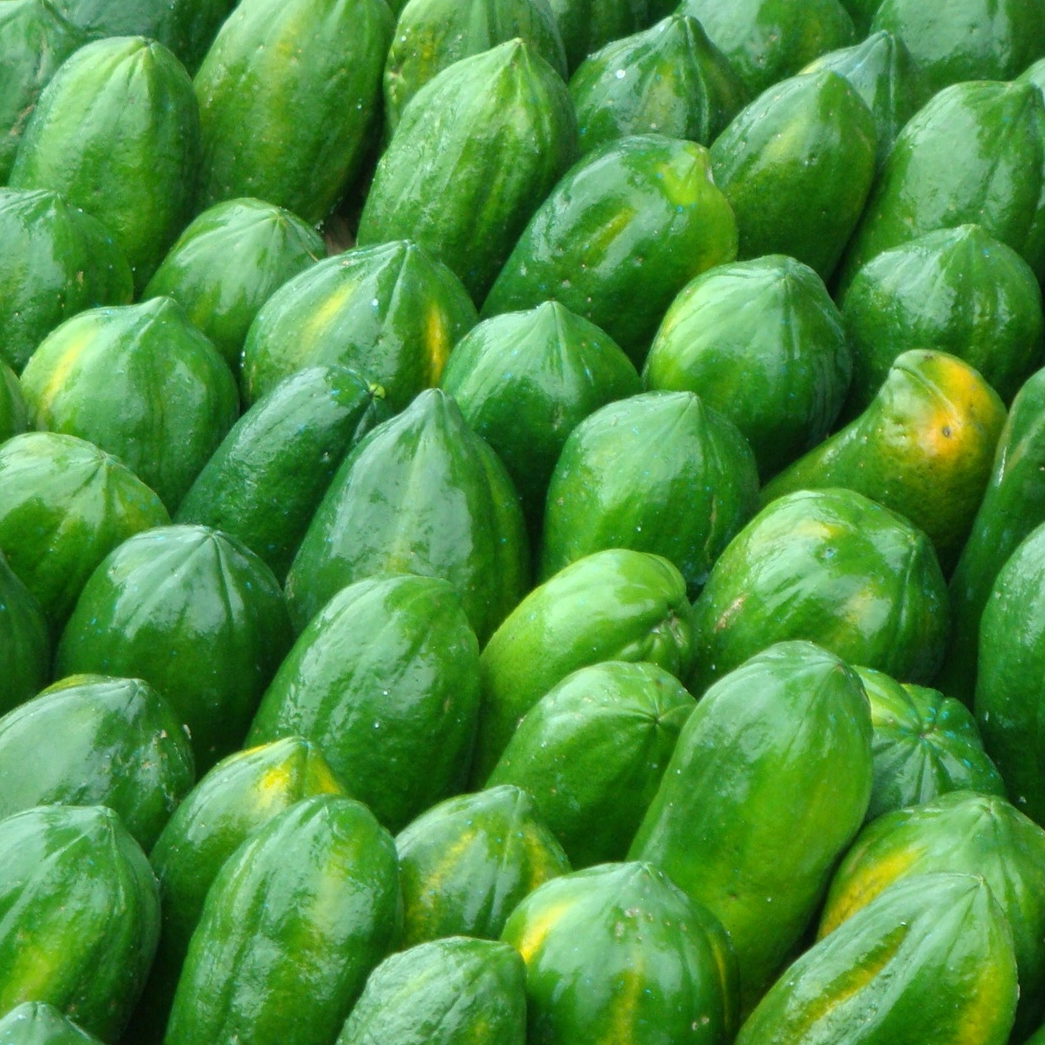 Ceylon Papaya