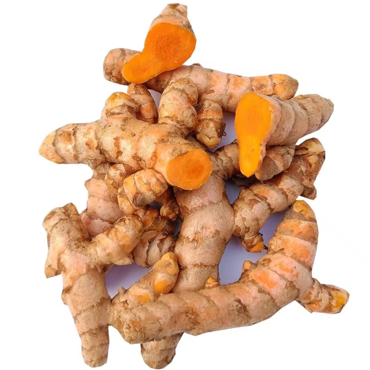 Premium Fresh Turmeric (Curcuma longa) Rhizome – Export Grade | Bulk Supply