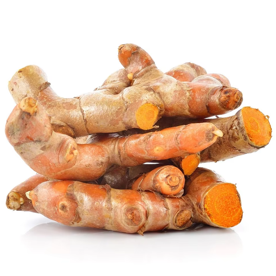 Premium Fresh Turmeric (Curcuma longa) Rhizome – Export Grade | Bulk Supply