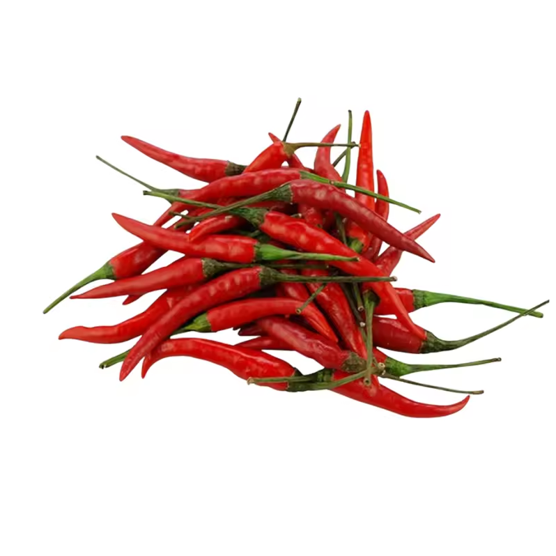 Premium Fresh Red Chili Peppers – Export Grade | Bulk Supply