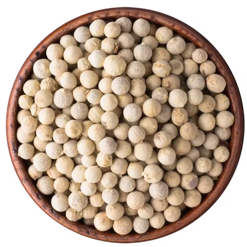 Premium White Pepper Whole – Export Grade | Bulk Supply