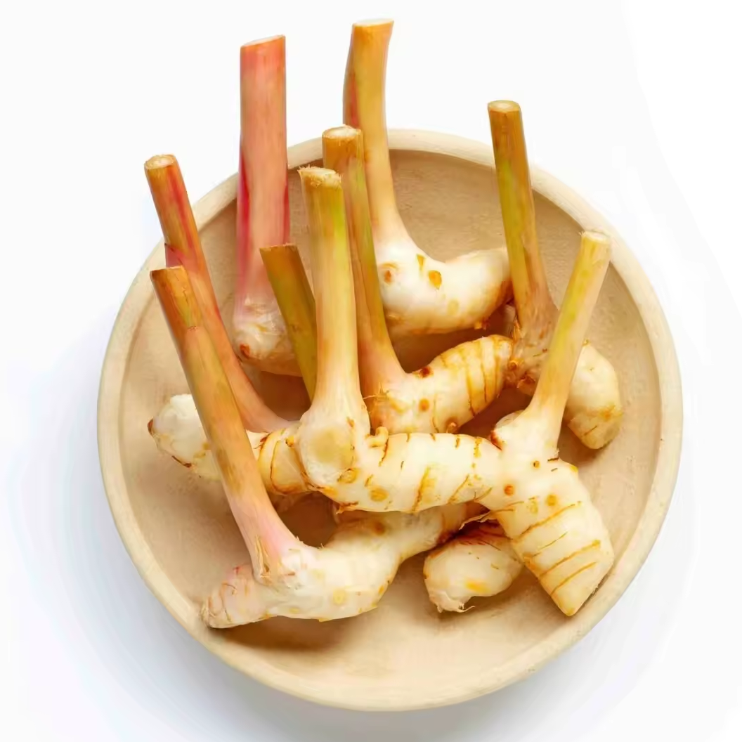 Fresh Galangal Root Export Quality for Food Processing & Culinary Use