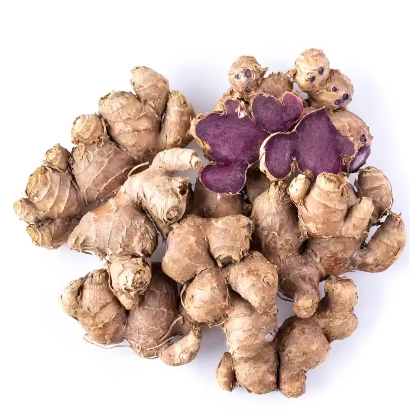Fresh Black Ginger (Kaempferia parviflora) Export Quality Rhizome
