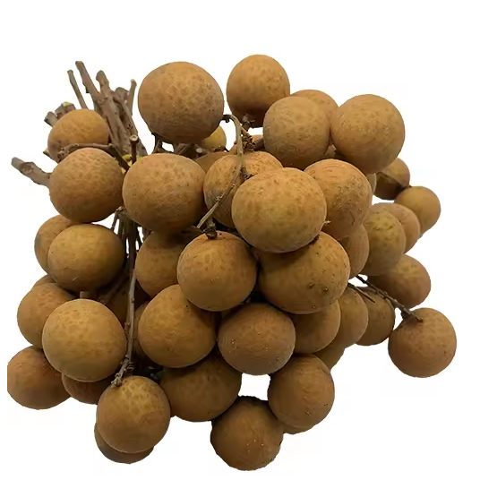 Fresh Longan / Premium Fresh Thai Longan – Export Grade