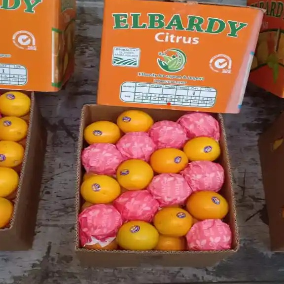 Valencia Orange