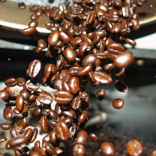 Robusta coffee