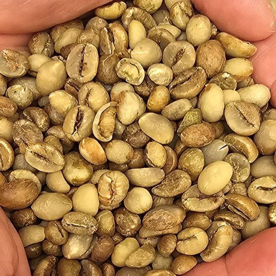 Robusta Green Coffee Beans - Indonesia origin.