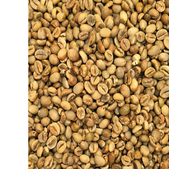 Robusta Green Coffee Beans - Indonesia origin.