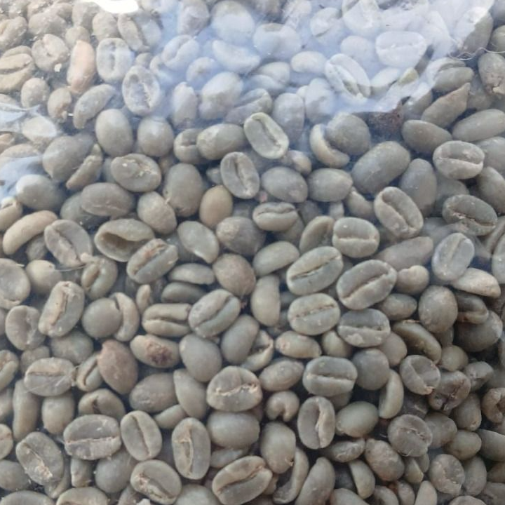 ARABICA GREEN COFFEE BEANS