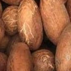 BITTER KOLA