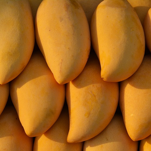 Chaunsa Mango Puree