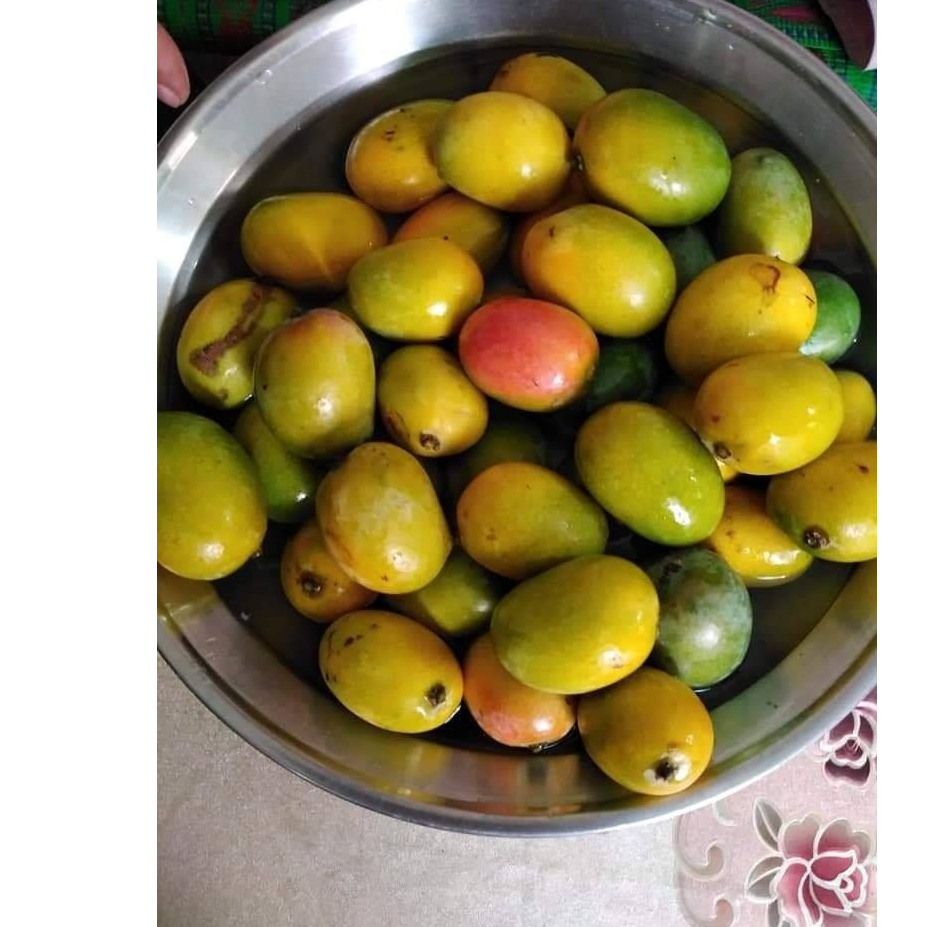 Mango Puree Concentrate