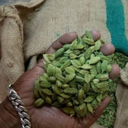 Bold Green Cardamom