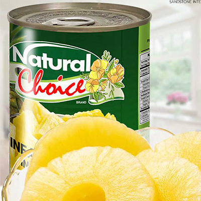 Canned Pineapple Slices in Light Syrup 20 oz. (565 g.)