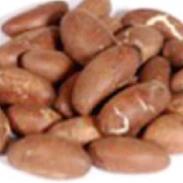Bitter Kola