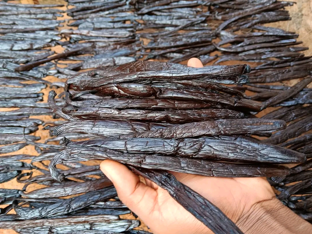 Vanilla beans