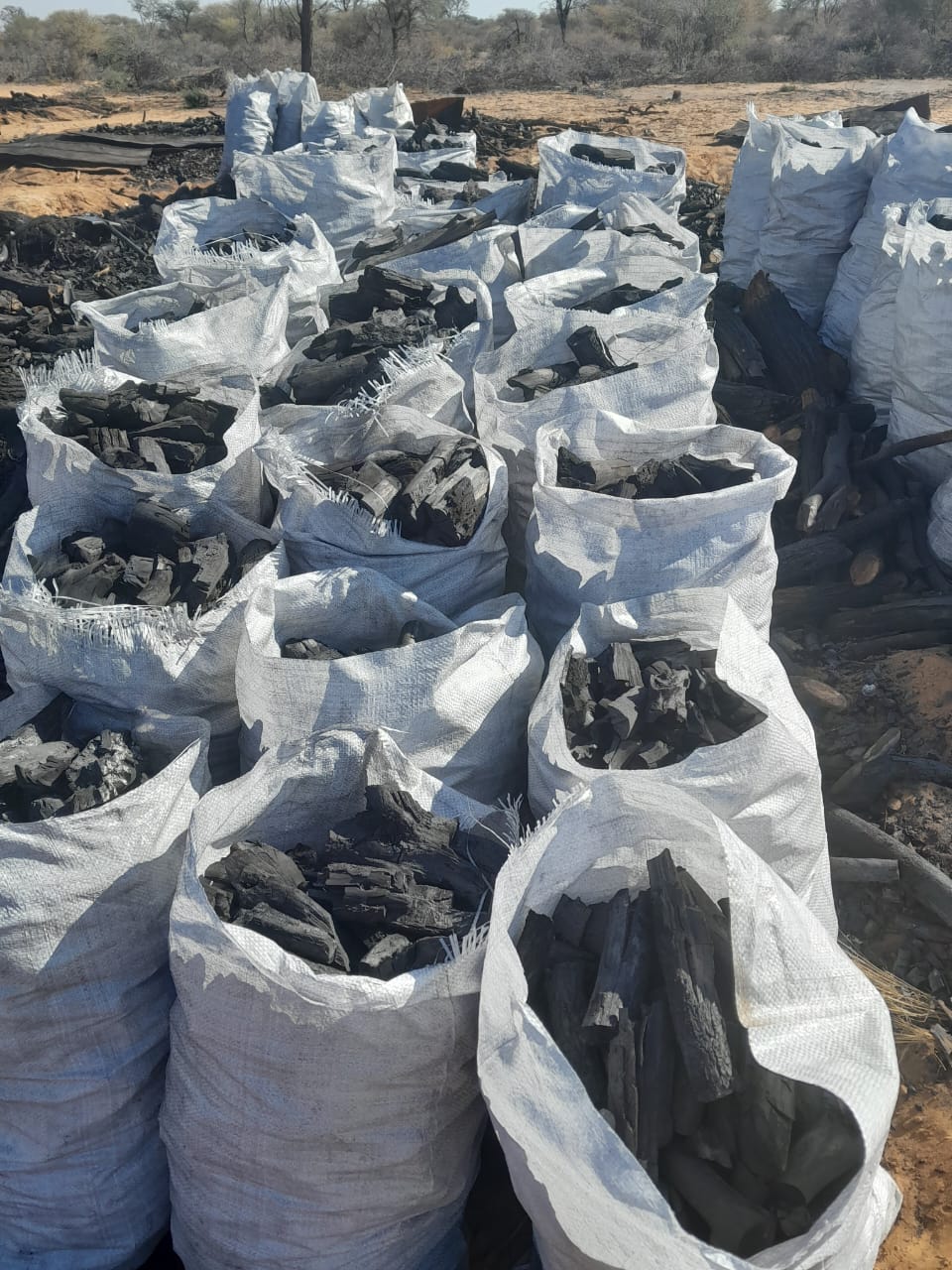 Hardwood Charcoal & Cooking Oil (Bulk Supplier)