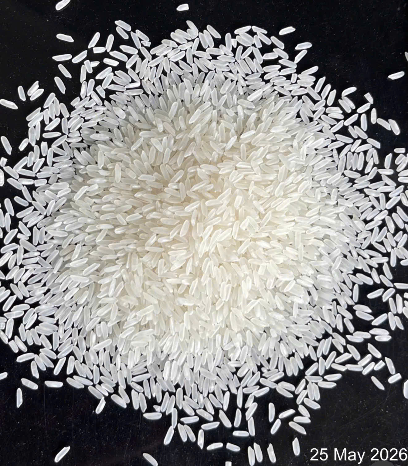 5415 RICE