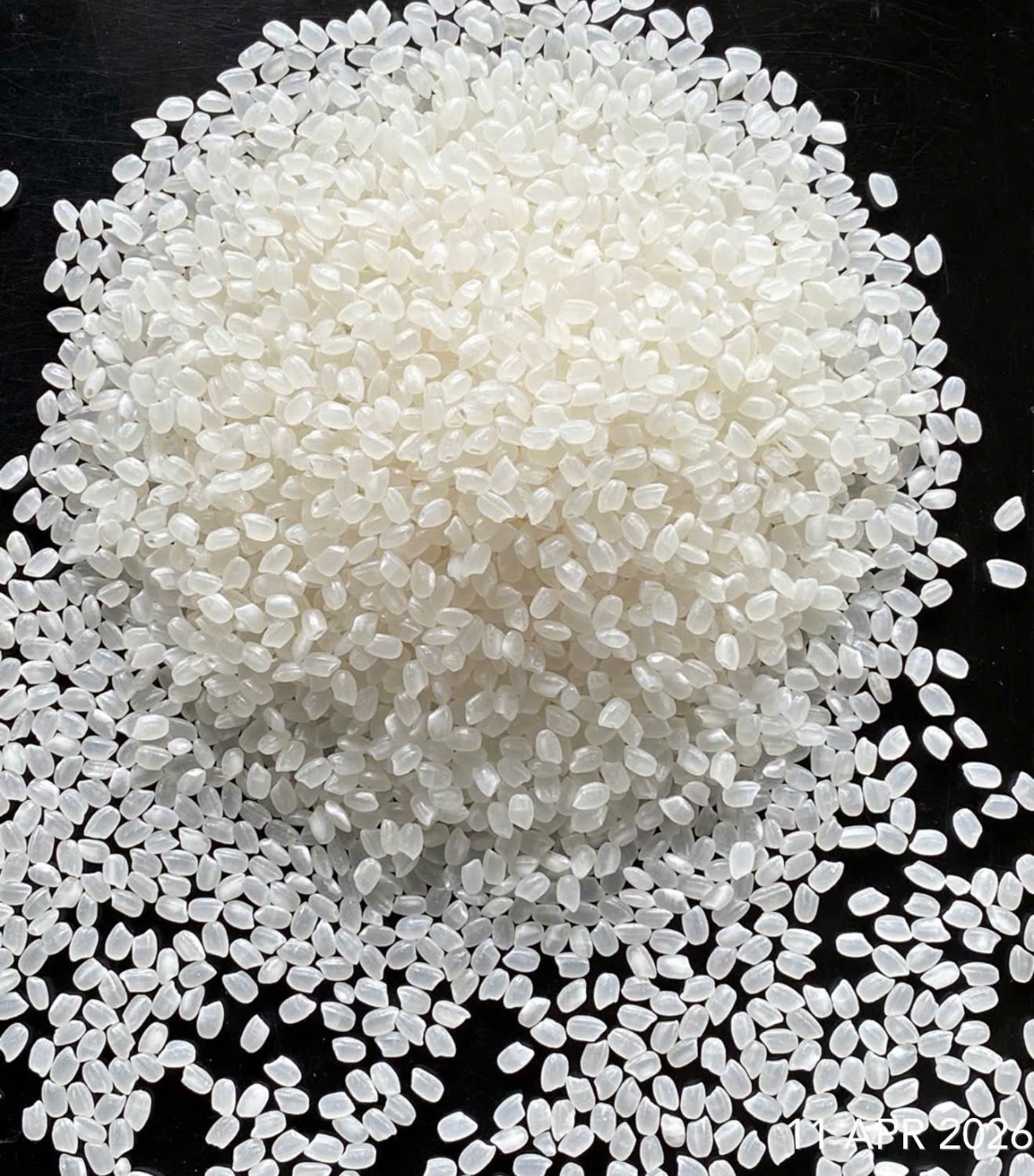 100% BROKEN FRAGRANT RICE