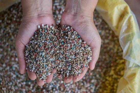 NPK fertilizer (Nitrogen + Phosphorus type NP fertilizer)