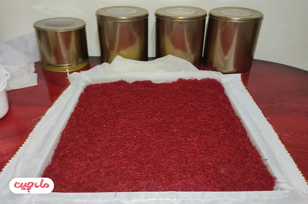 negin sargol saffron