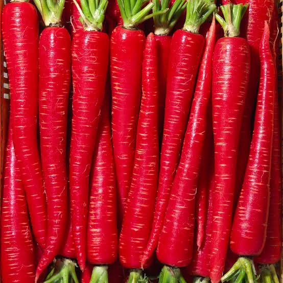 Fresh Mathania Red Carrots for Export