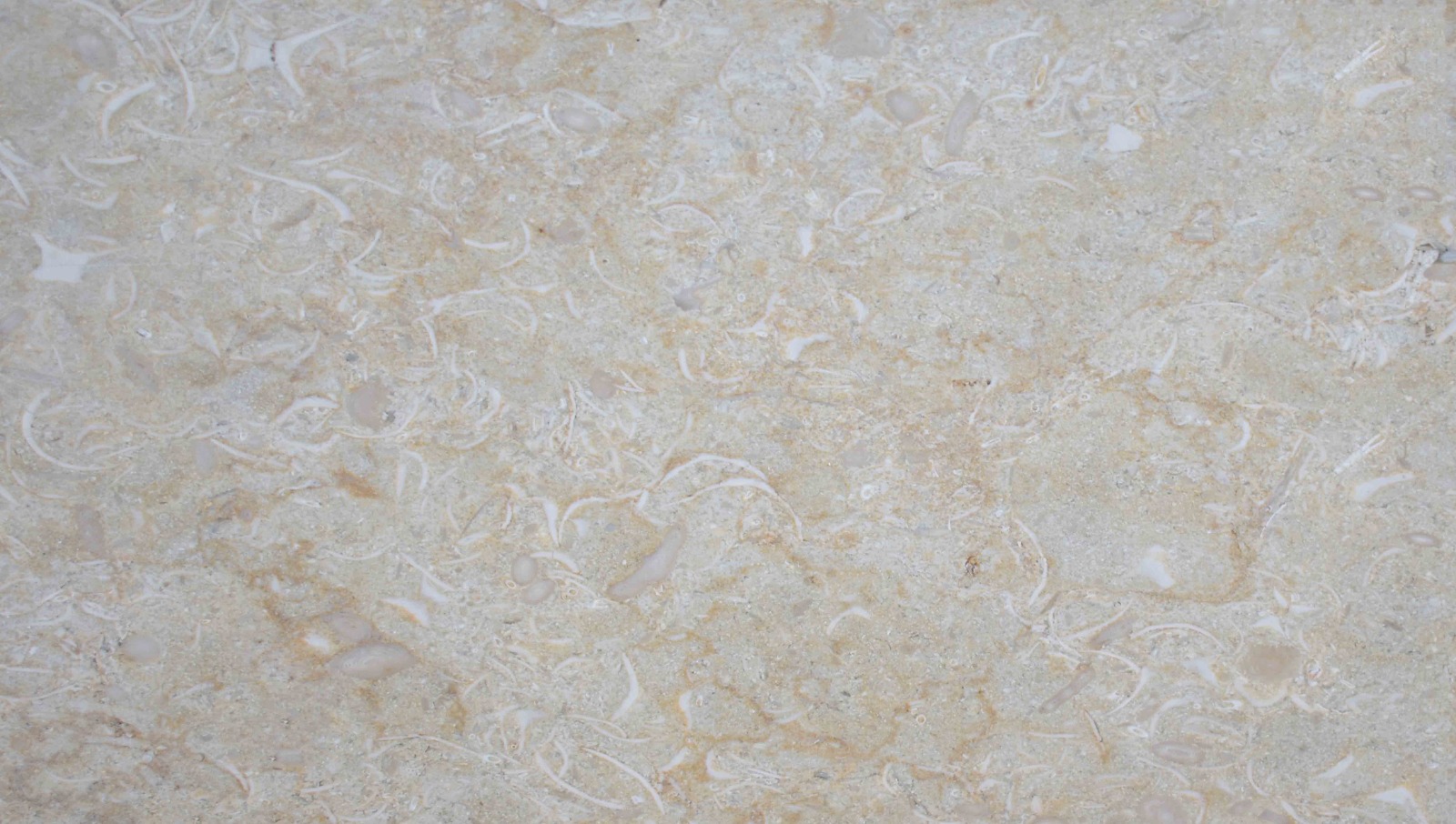 Sunny Minya Marble Slabs and Tiles – Premium Egyptian Natural Marble