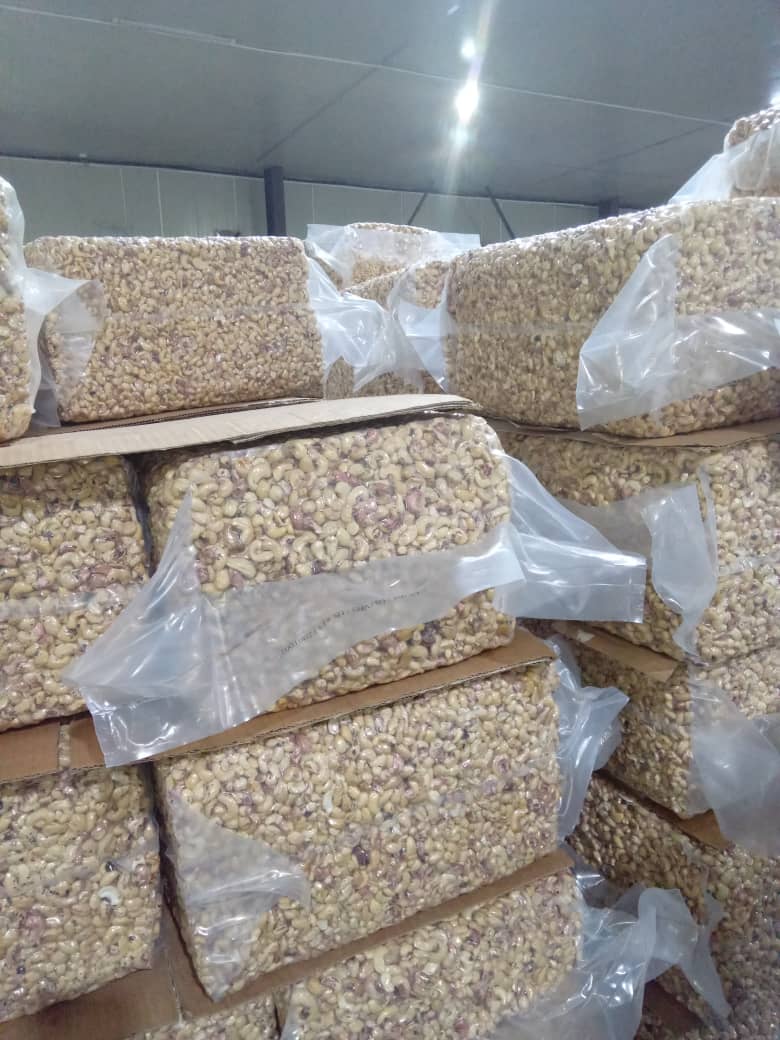Premium Cashew Kernels WW320 – Côte d’Ivoire Origin