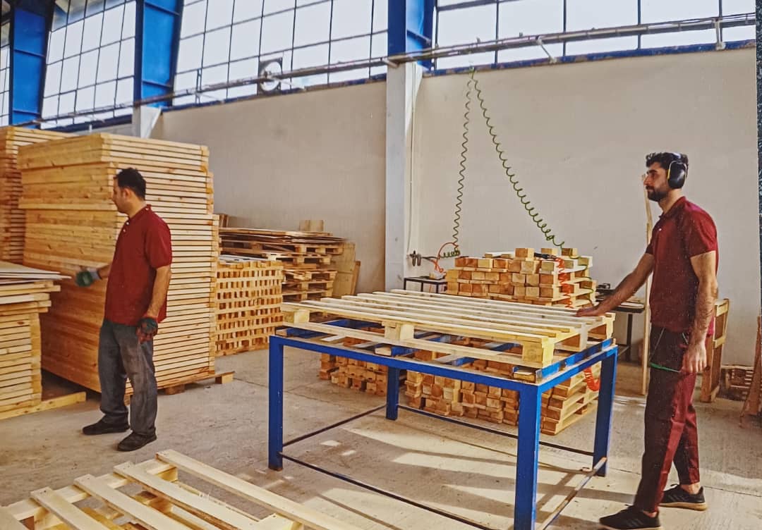 Premium Fir Spruce Wooden Pallets and Boxes