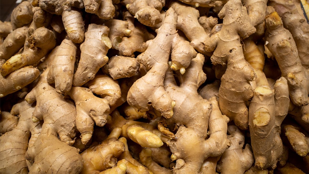 Fresh and Dried Ginger Rhizomes