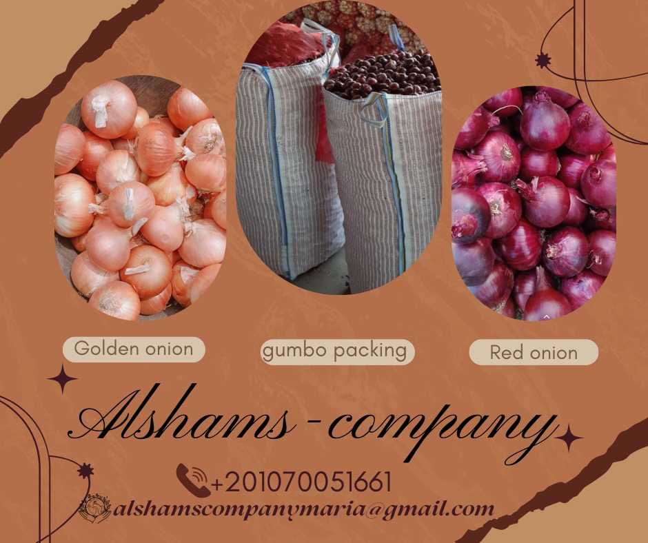 FRESH ONION