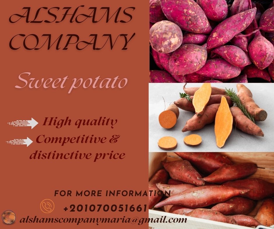 Sweet potato