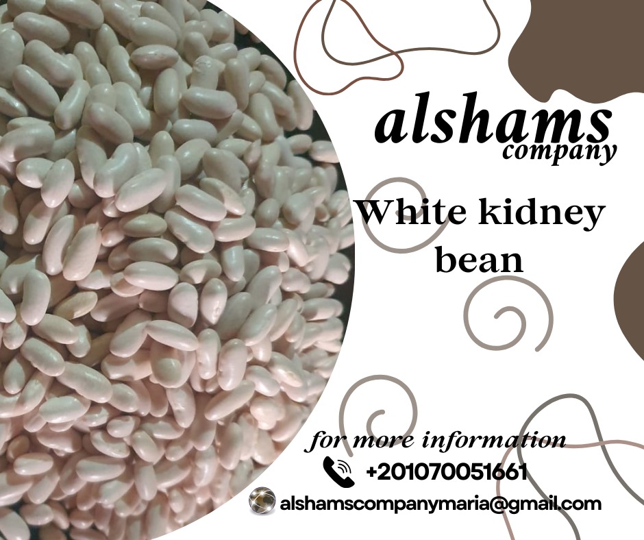 White Beans
