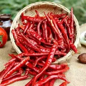 RED DRY CHILLIS / POWER