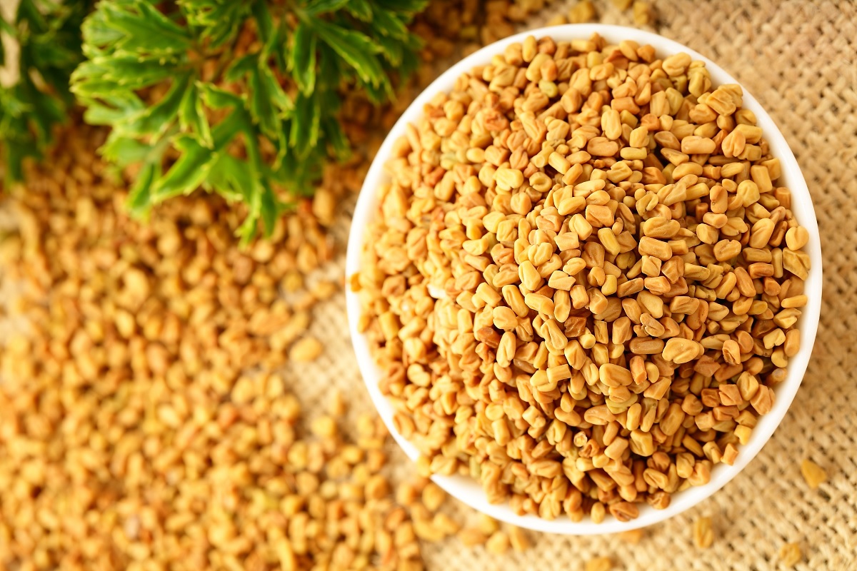 Premium Whole Fenugreek Seeds for Export